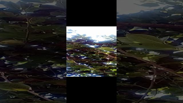 20240811_104736.mp4