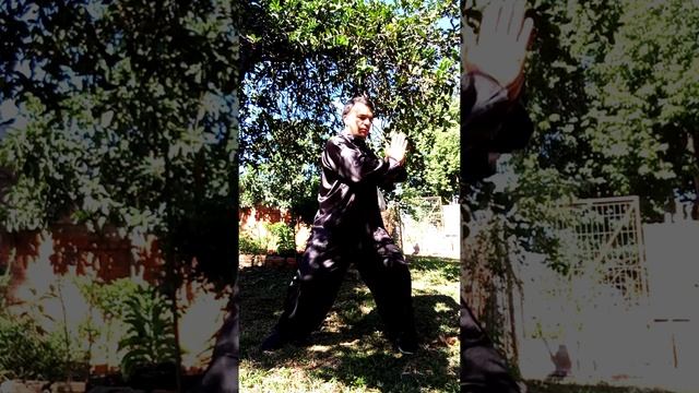 Chi Kung II - aula demonstrativa