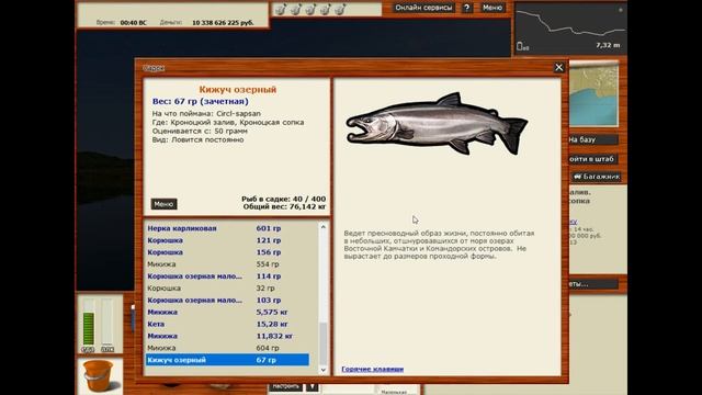 Кижуч озерный/Редкие виды рыб/Кроноцкий залив/РР3