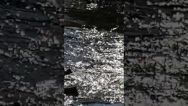 Река Истра в селе Павловская Слобода.