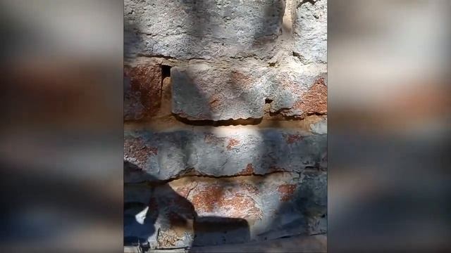 Штукатурим цоколь дома. Подготовка под керамогранит. Первый операторский дебют Александра