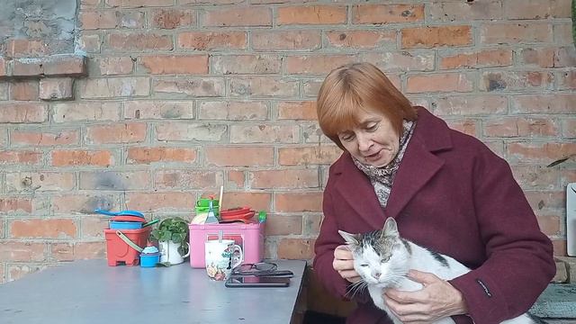 Всем добрый день🏡😺Славянск 22 апреля 2023