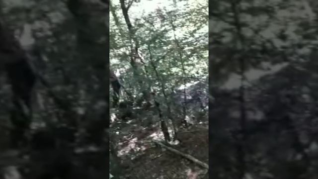 Участок в районе Поляны Сказок Ялта