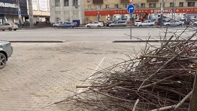 Обрезка деревьев. Воронеж и Воронежская область.