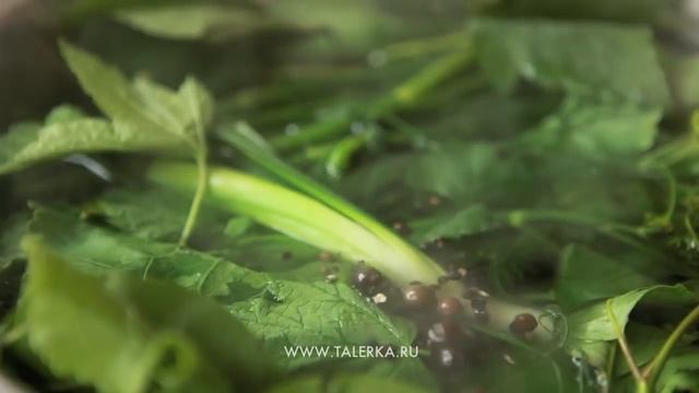 Малосольные огурцы (Маласольныя агуркі, Ogórki małosolne, Half Sour Pickles)
