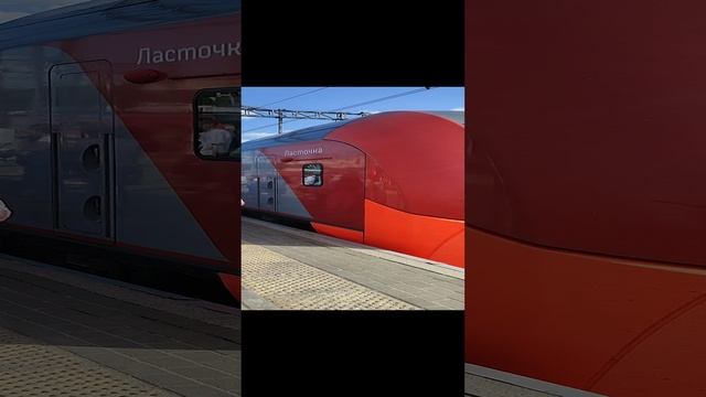 Ласточка Выборг - Санкт-Петербург