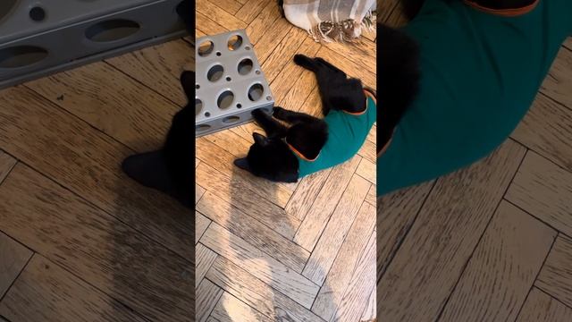 21 ноября 2023 г.