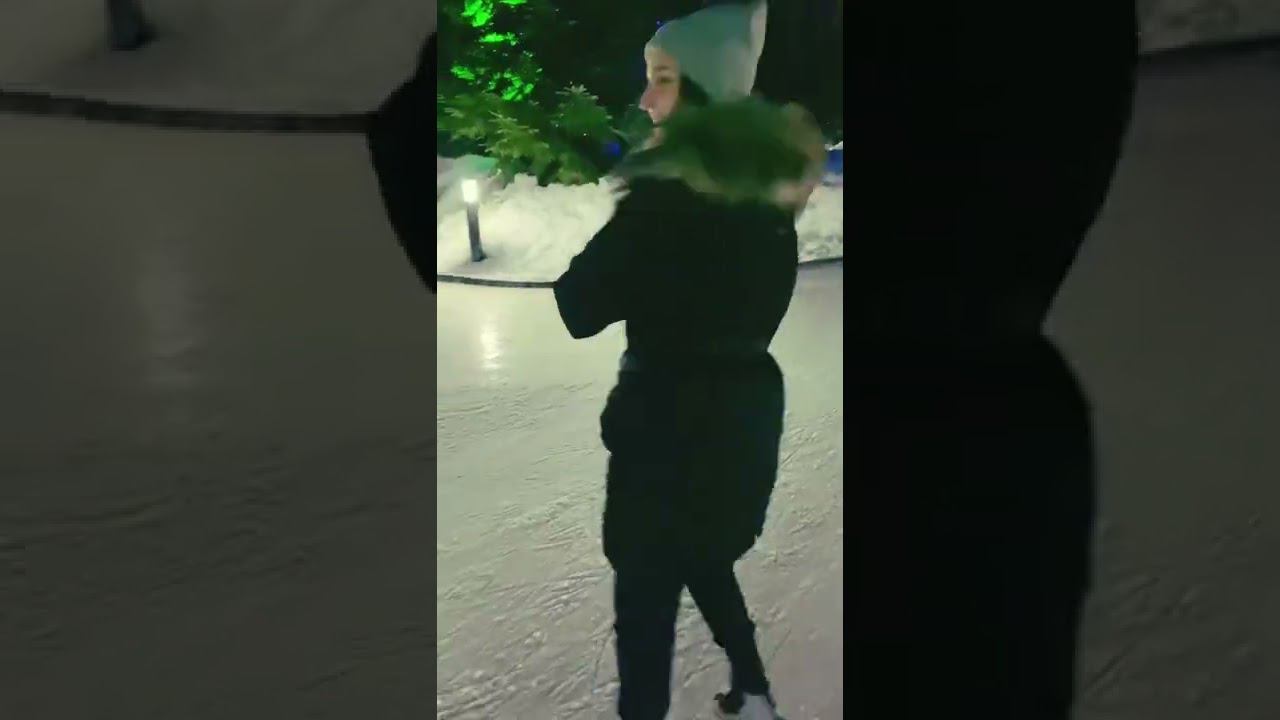 Коньки