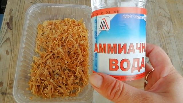 У меня на огурцах тля Как я с ней боролась