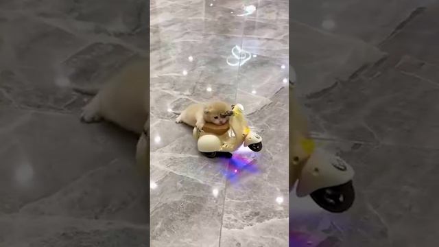 выехал уже