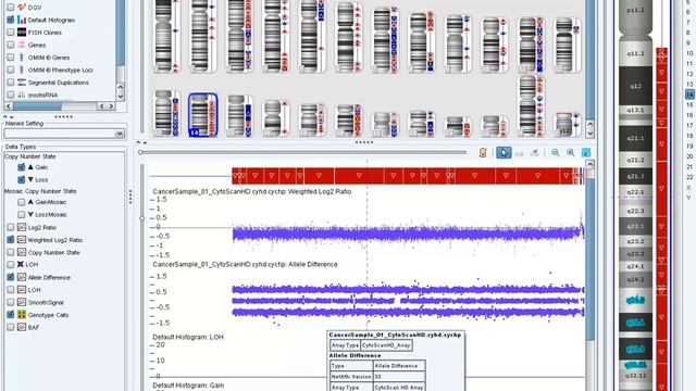 ChAS Analysis Workflow