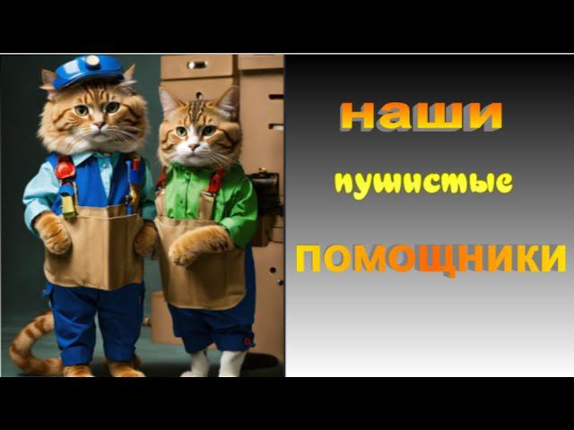 Наши пушистые помощники - Смешные моменты