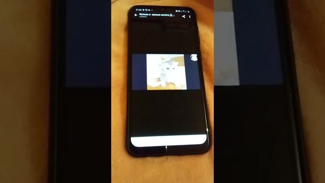 Как скачать видео с Ютуба на телефон2020.