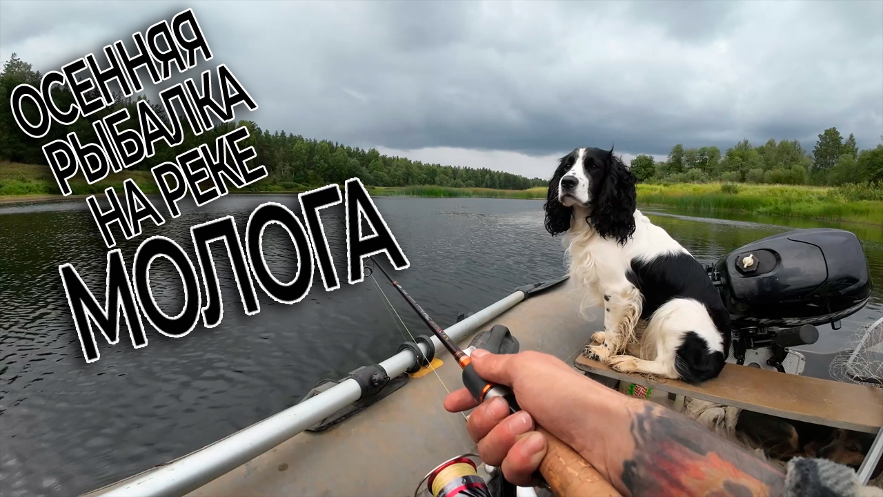 Рыбалка На Реке Молога/Щука На Реке/Рыбалка С Лодки На Реке Мологе