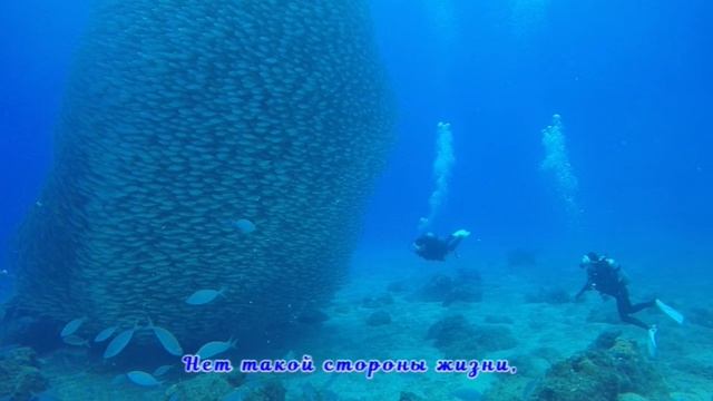 Правила жизни на Земле.mp4