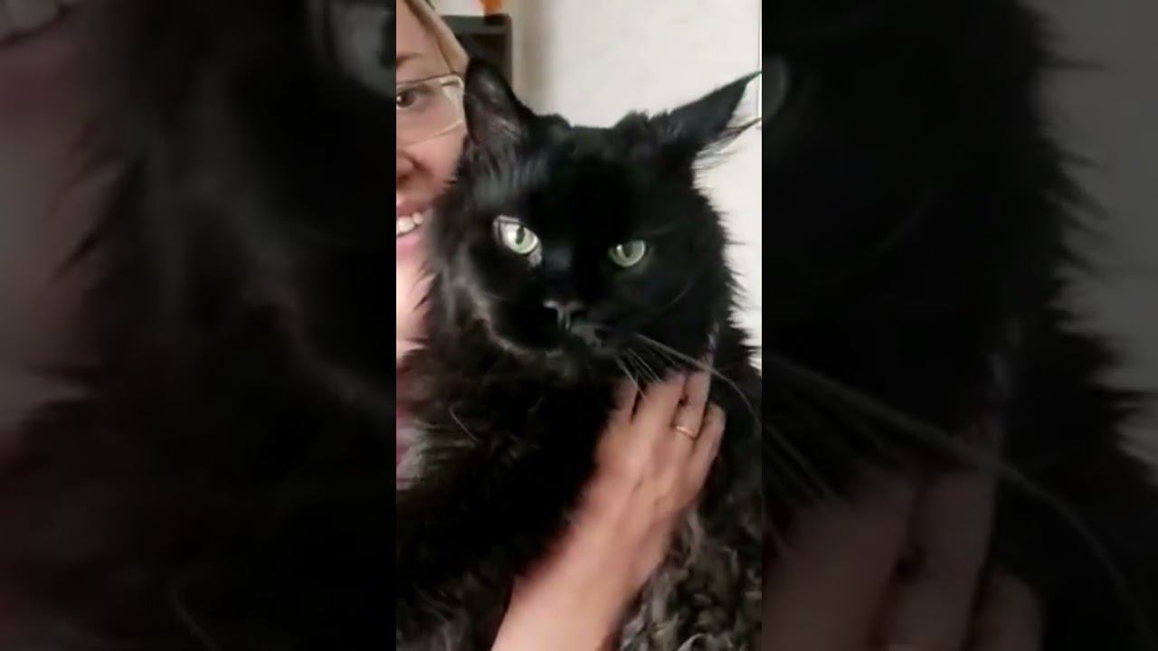 Королевская особь!