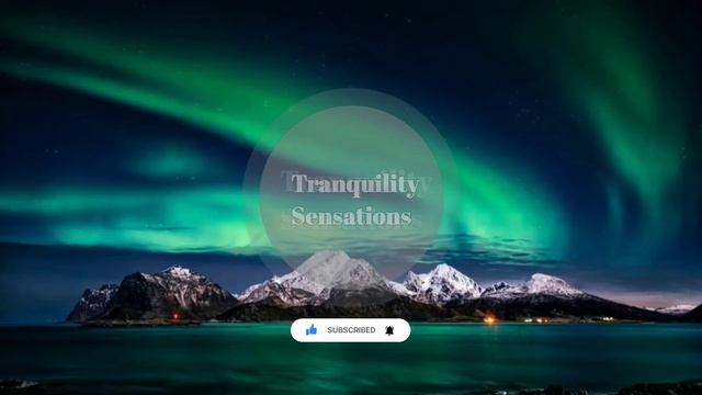 Deep Sleep Relaxation Music (1 Hour)