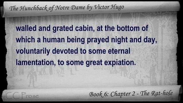 Book 06 - Chapter 2 - The Hunchback Of Notre Dame By Victor Hugo - The Rat-hole