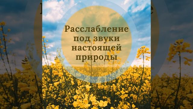 Поющие птицы