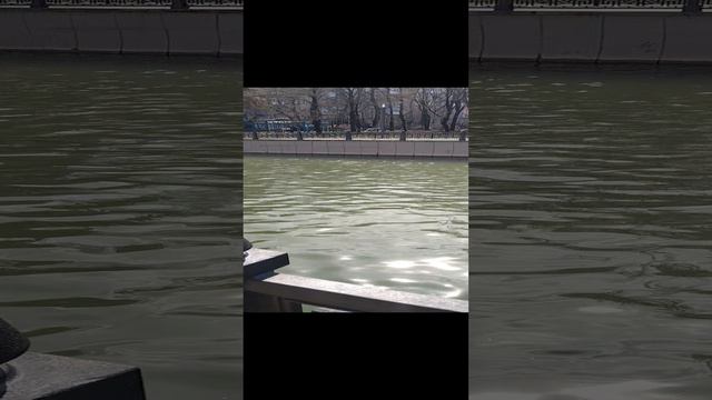 Река Салгир в Симферополе