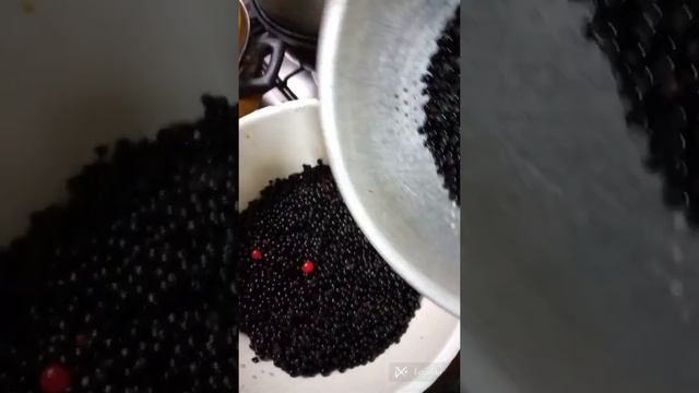 Необыкновенное варенье из черной бузины