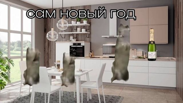 До Нового года и после😈#ихвильних #котики