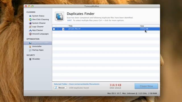 Duplicate Finder
