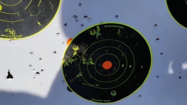 Shooting the M1A