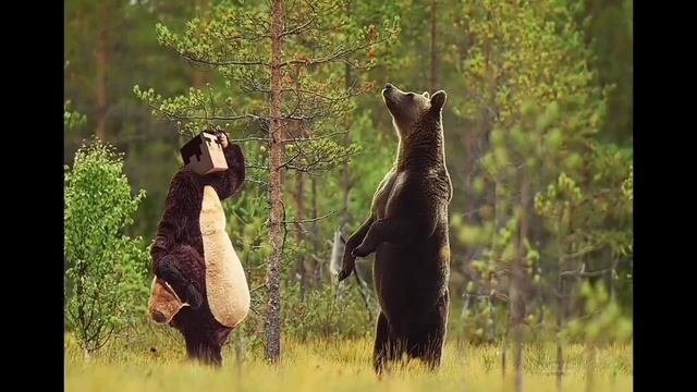 Тайны Майнкрафт: Звуки смерти и прочие восторги.