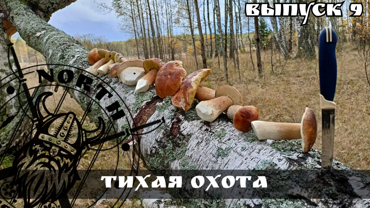 Тихая охота или грибалка, как мы собираем грибы