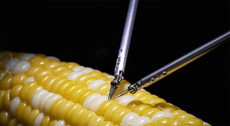 Робот-микрохирург от Sony научился зашивать зерно кукурузы