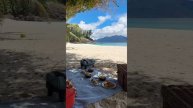 Устраивать пикники на частном острове на Сейшелах — это восхитительно🍹🥥🏝️