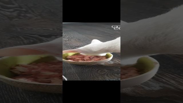 Котик ест