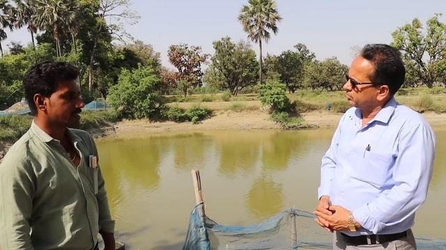 बत्तख पालन ने बदल दी इस युवा की किस्मत | Duck Farming | Indian Runner Duck | Khaki Campbell Ducks