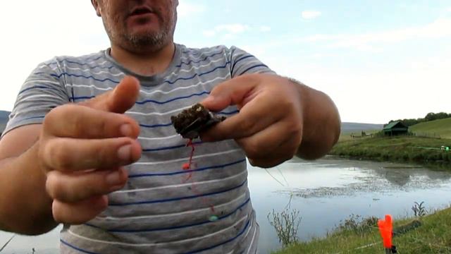Что делать когда не клюет Пенопласт на комбаин и жмыховку