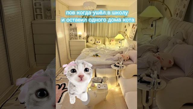 оставила кота дома