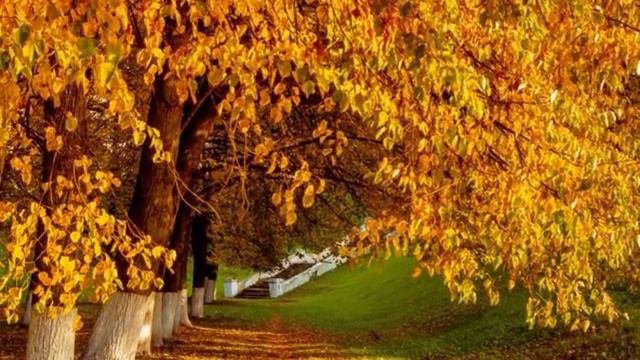 Златовласка - Осень -  Японский Блюз ( саксафон)