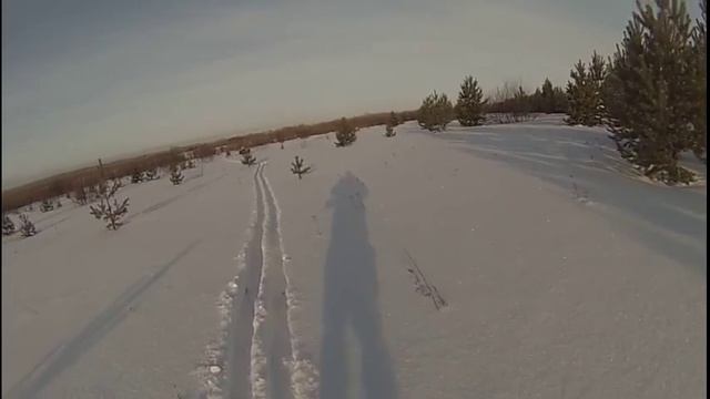 Охота на зайца самотопом в коми (неудачно).