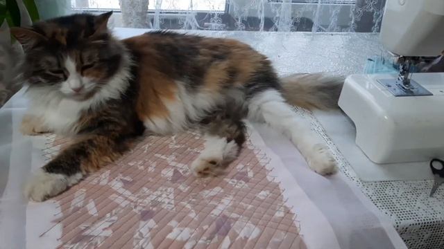 Коврик для швейной машинки.