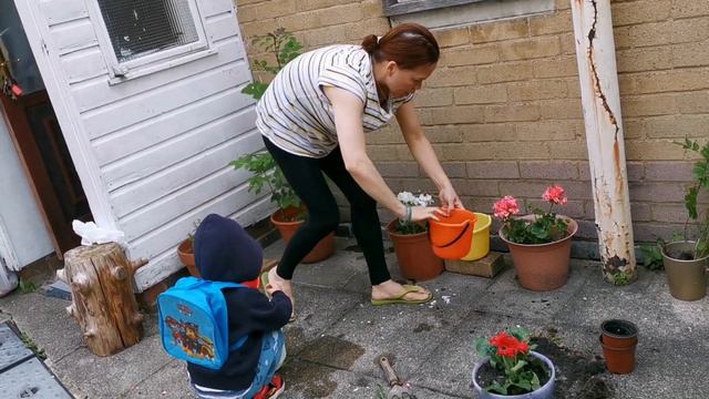 It's Garden Time June 2019 With Antonia Septimo #flowers #Gardens #summer