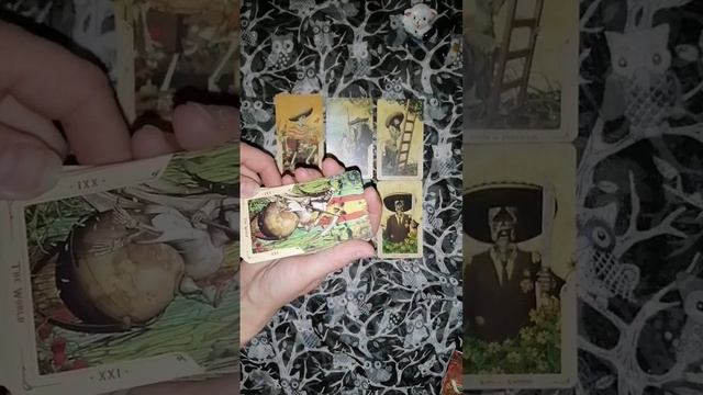 Его мысли о тебе сегодня ?