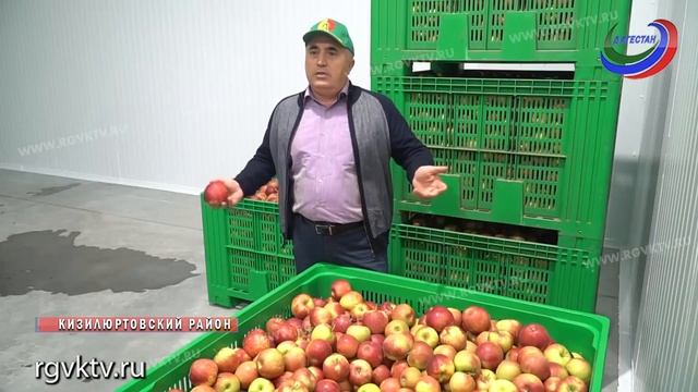 В Кизилюртовском районе заработало новое овощехранилище