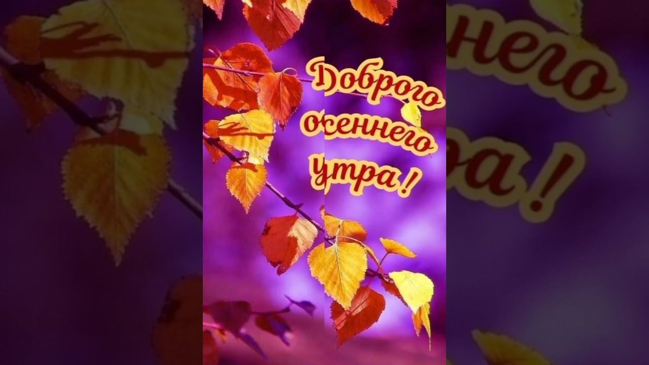 доброе утро хорошего дня