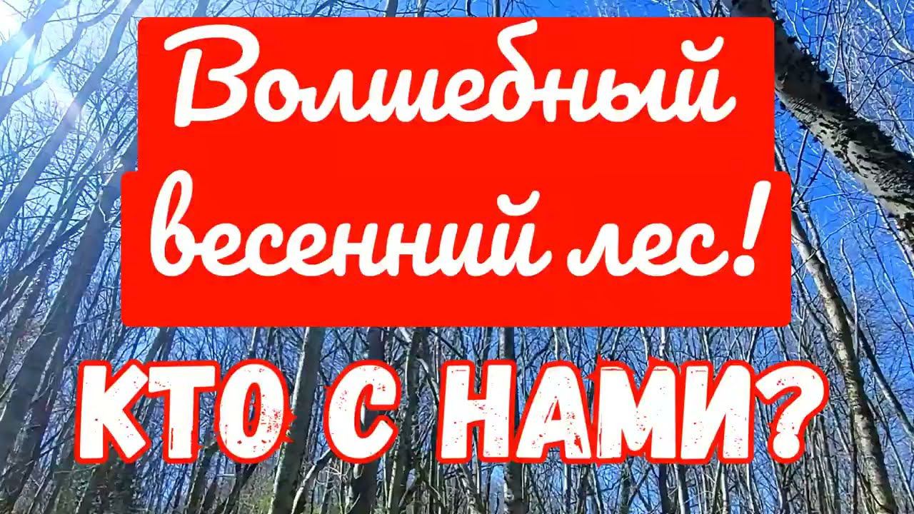 Волшебный лес на Кубани. Апрель. Кто с нами?!