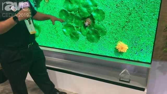 CEDIA 2019: LG Debuts the 88" OLED88Z9PUA Signature 8K OLED TV
