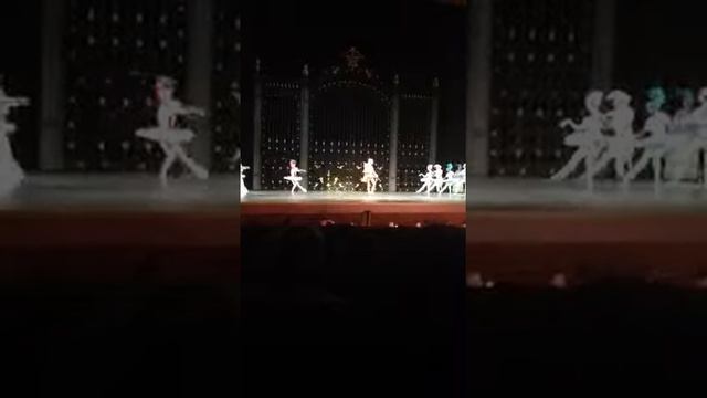 Балет Спящая красавица