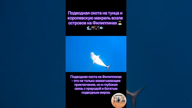 Подводная охота на тунца и королевскую макрель возле островов на Филиппинах 🏝🌊🤿