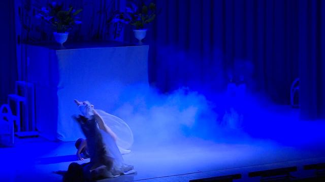Танцоры современного балета Реутова показали зрителям пластический спектакль 06.06.2024