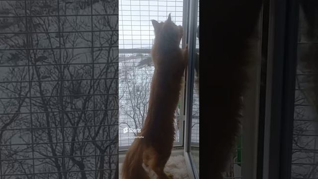 Что бы не было побега
