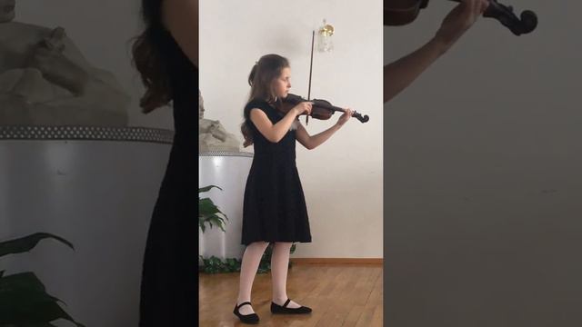 Варіації Данкля на тему Пачіні
